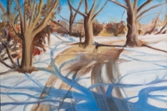 Winter Shadows