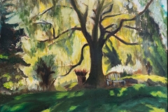 Sunrise, 20 x 16