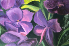 Orchids